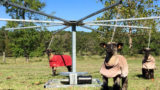 Texas Tornado Lamb & Goat Walker