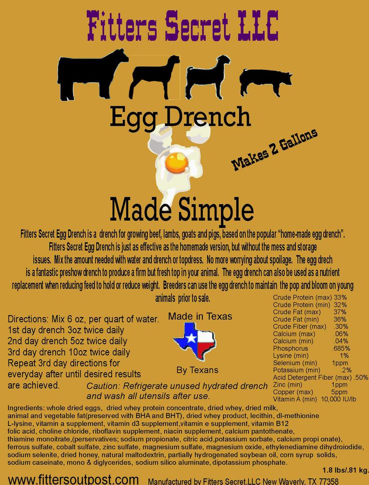 Egg Drench Made Simple